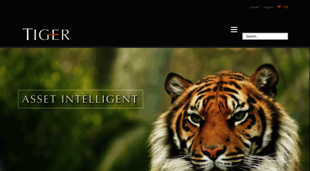 tigergroup.com