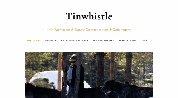 tinwhistle.fi