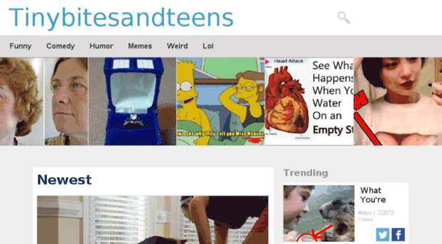 tinybitesandteens.com