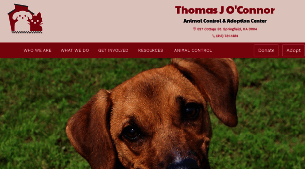 tjoconnoradoptioncenter.com