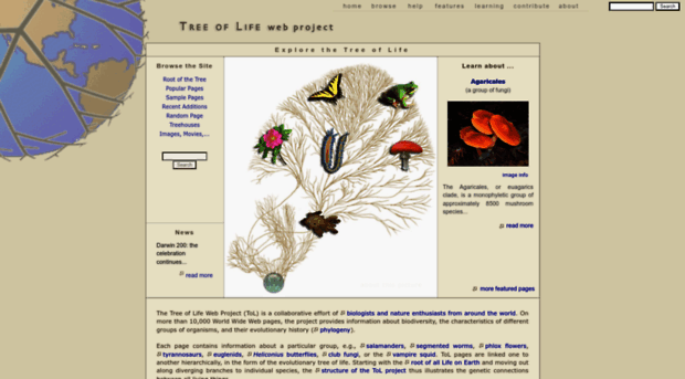 tolweb.org