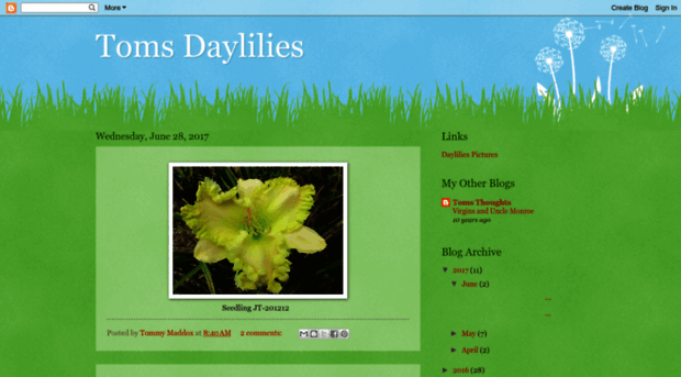 tomsdaylilies.com