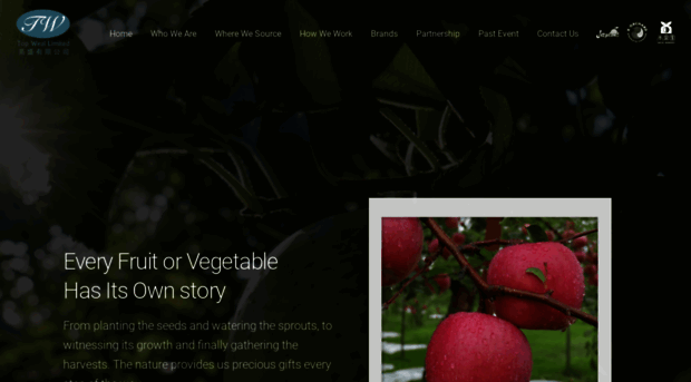 topweal.com