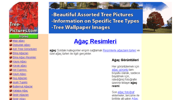 tr.tree-pictures.com