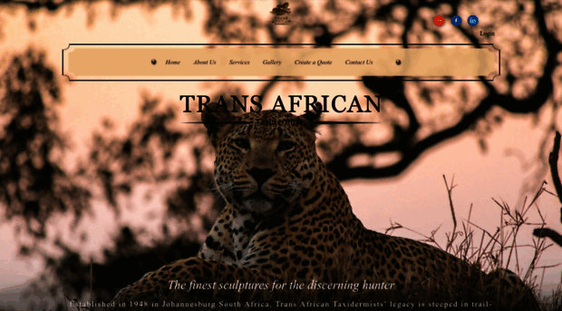 transafrican.com