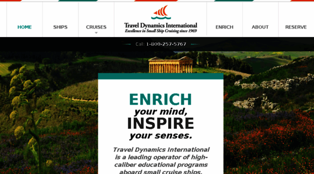 traveldynamics.com