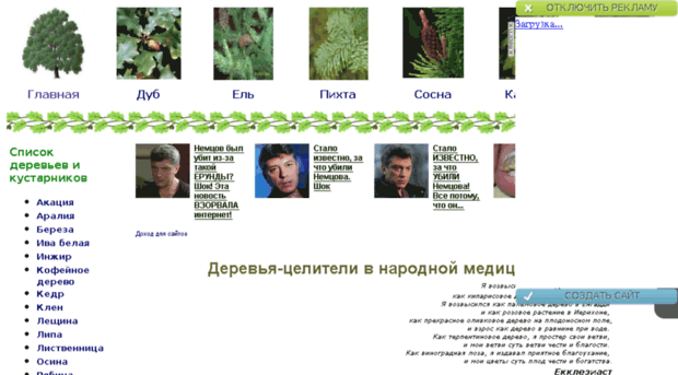 treemed.narod.ru