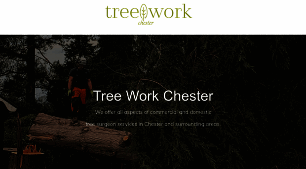 treeworkchester.co.uk