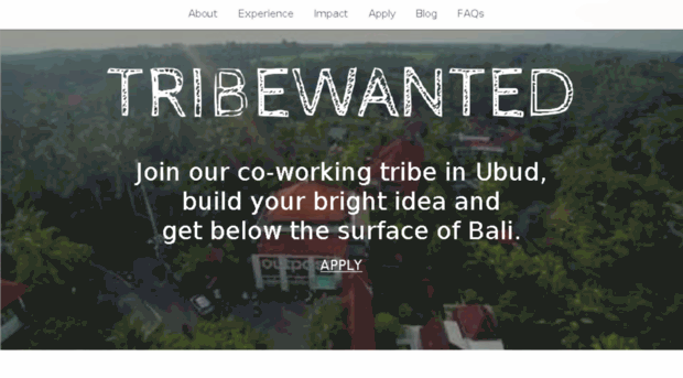 tribewantedbali.strikingly.com
