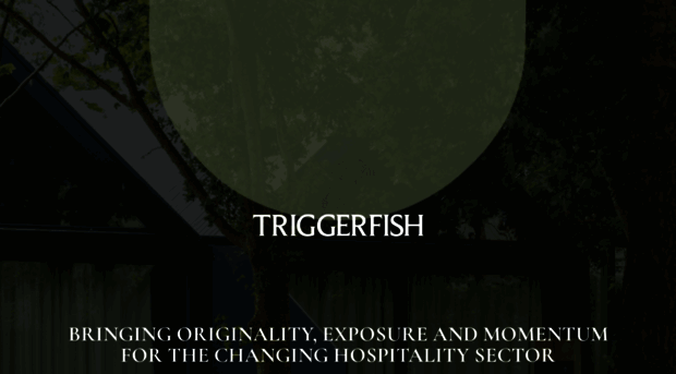 triggerfish.co.uk