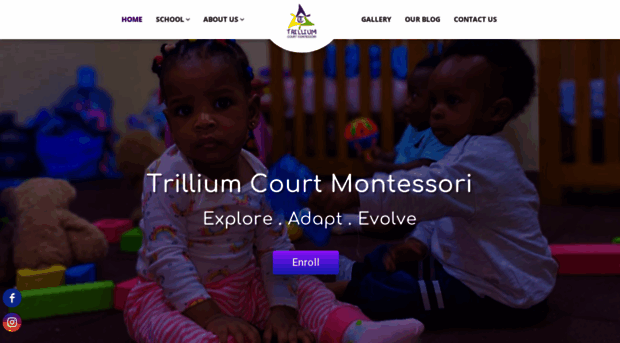 trilliumcourtmontessori.com