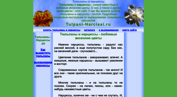 tulpani-narcissi.ru