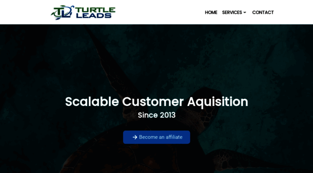 turtleleads.com