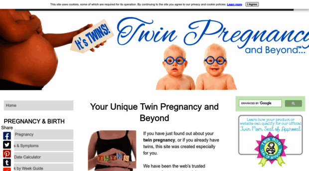 twin-pregnancy-and-beyond.com