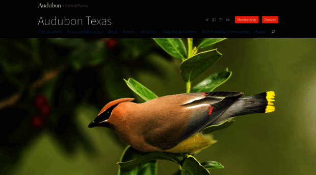 tx.audubon.org