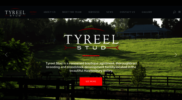 tyreel.com
