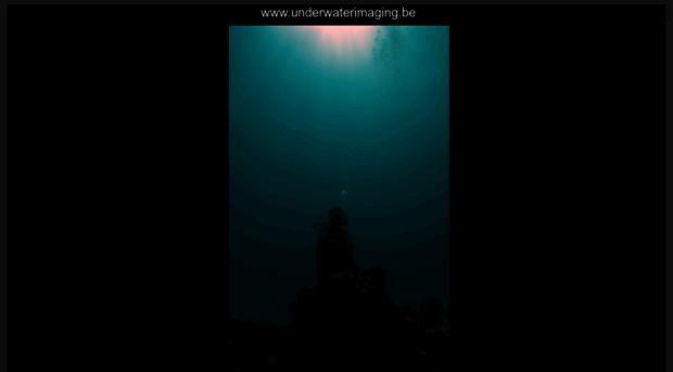 underwaterimaging.be
