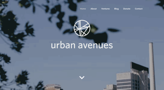 urbanavenues.com