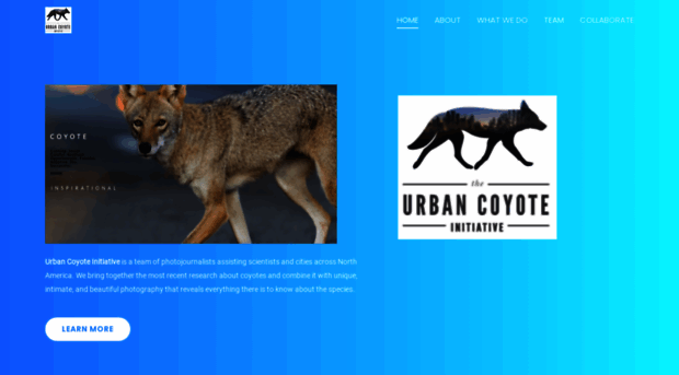 urbancoyoteproject.com