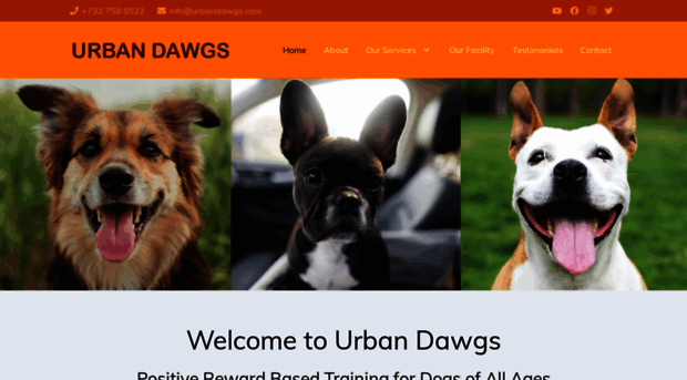 urbandawgs.com