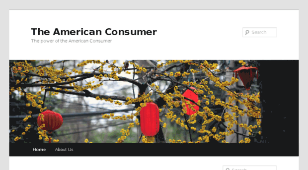 us-consumer.com