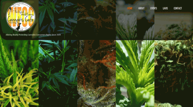 usaworldfamouscannabiscafe.com