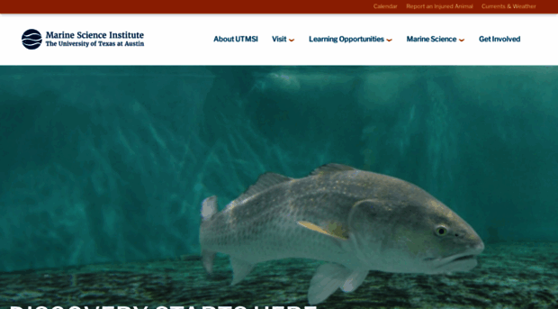 utmsi.utexas.edu