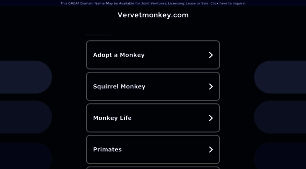 vervetmonkey.com