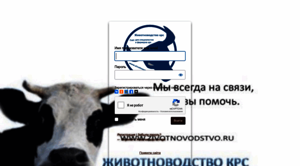 veterinar.wmsite.ru