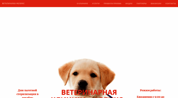 vetfelix.ru