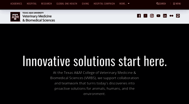 vetmed.tamu.edu