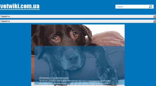 vetwiki.com.ua