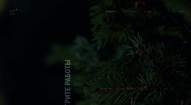 video.sliderweb.ru