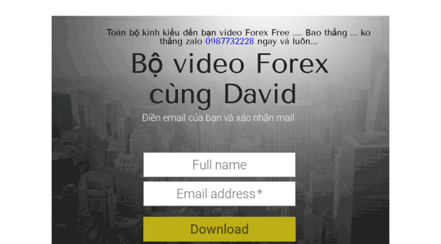 videoforex.net
