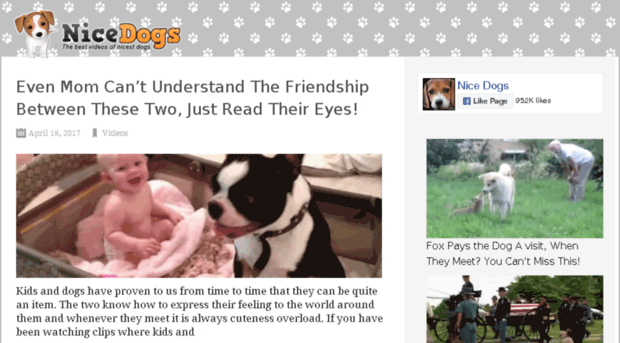 videos.nicedogs.tv