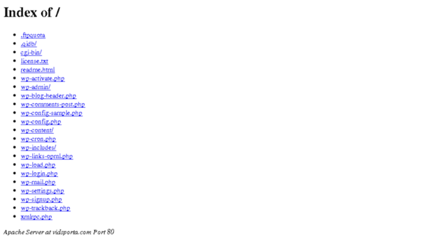 vidsporta.com