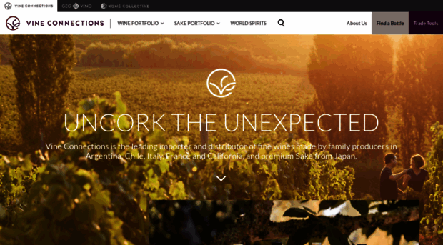 vineconnections.com