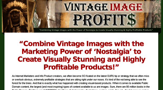 vintageimageprofits.com
