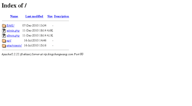 vip.bingchengwang.com