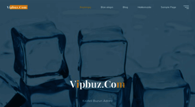 vipbuz.com