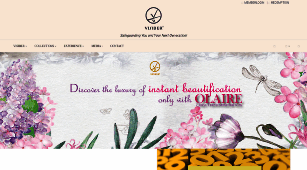 visiber.com