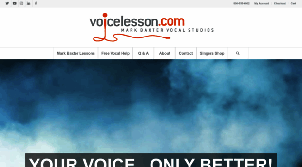 voicelesson.com