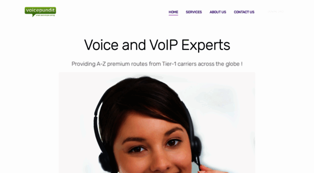 voicepundit.com