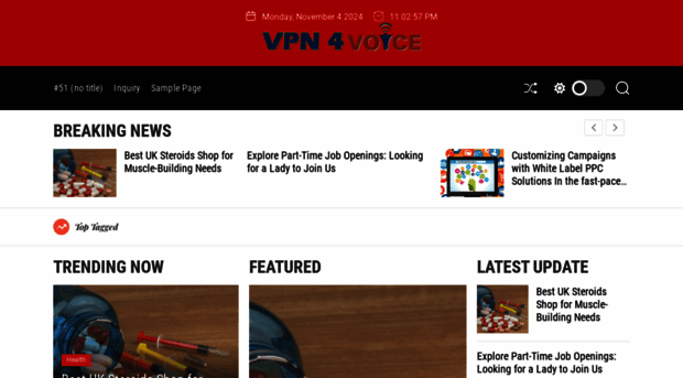 vpn4voice.net