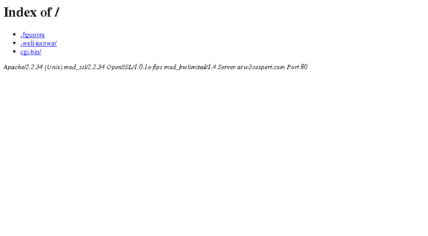 w3cexpert.com