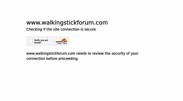 walkingstickforum.com