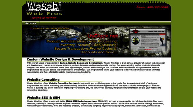 wasabiwebpros.com