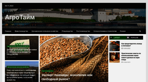 web-mark.ru