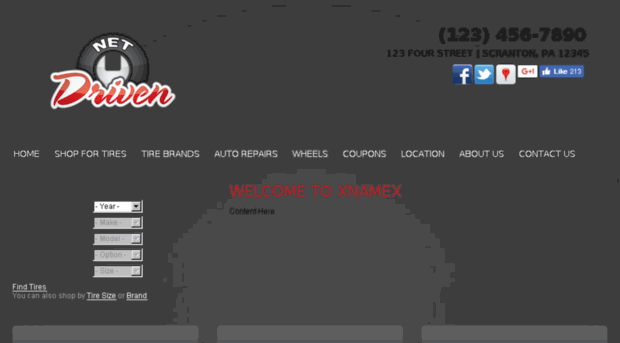 web2.netdrivenwebs.com