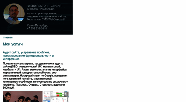 webdirector.ru